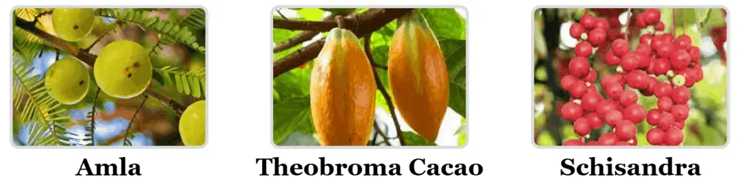 Mitolyn Ingredients Image